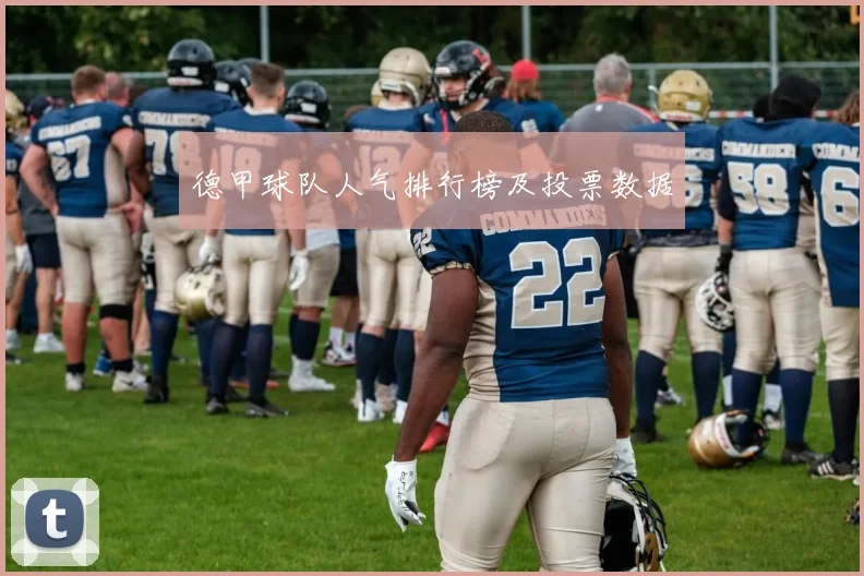 德甲球队人气排行榜及投票数据