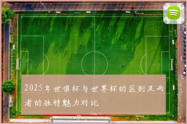 2025年世俱杯与世界杯的区别及两者的独特魅力对比