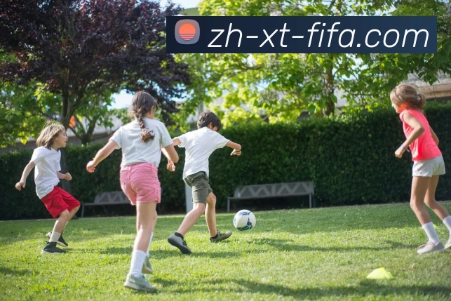 世界杯赛程平台生态图